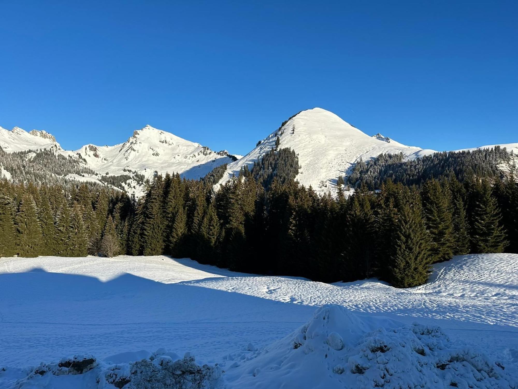 Studio Au Coeur Du Praz-De-Lys - Les Pralyssimes Le Praz de Lys Exterior foto