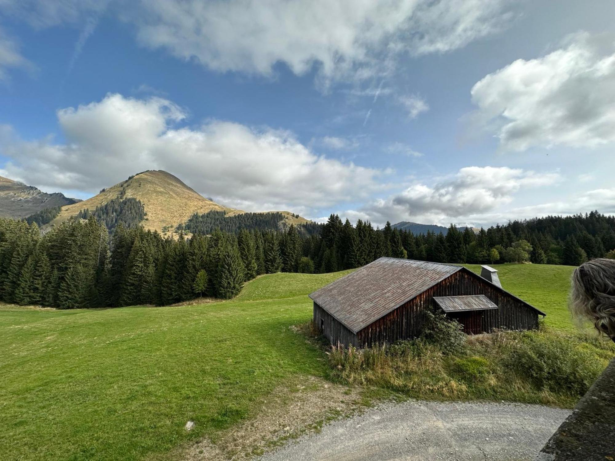 Studio Au Coeur Du Praz-De-Lys - Les Pralyssimes Le Praz de Lys Exterior foto