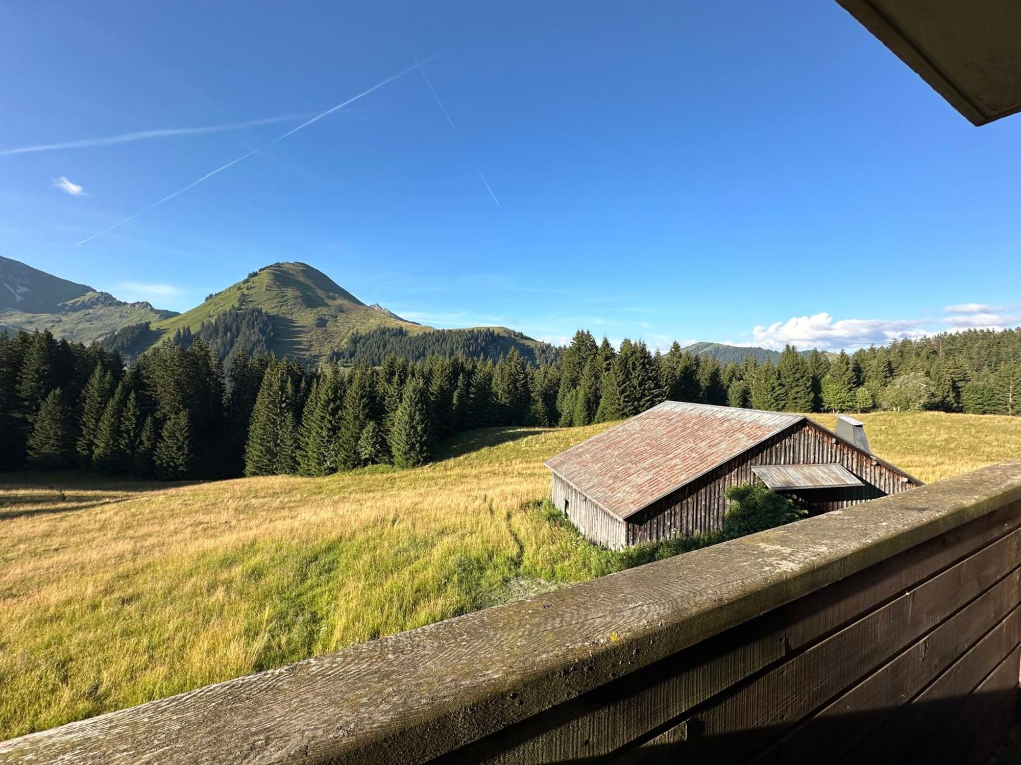 Studio Au Coeur Du Praz-De-Lys - Les Pralyssimes Le Praz de Lys Exterior foto